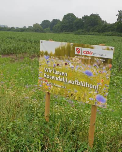 Blühstreifen Darfeld am 29. Juni 2021