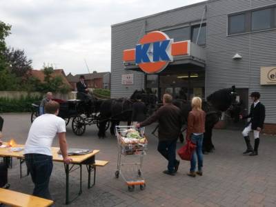 Das Team in Darfeld bekam vierspännigen Besuch. Werner Hessling fuhr hier nicht etwa zum einkaufen, sondern verlieh mit seinem Landauer einer Hochzeit zusätzlichen Glanz.